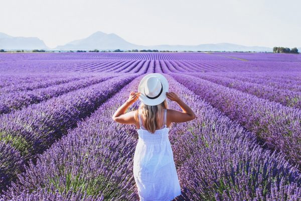 Provence: melhor época, campos de lavanda, passeios e mais